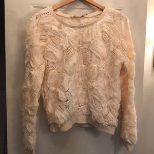 Sheer pullover